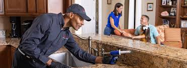 Best Real Estate Pest Inspections  in Jeffersonville, OH